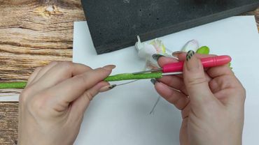 Проколы стебля