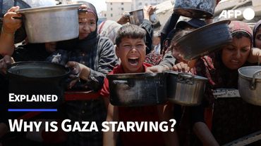 Gaza's hunger crisis explained | AFP