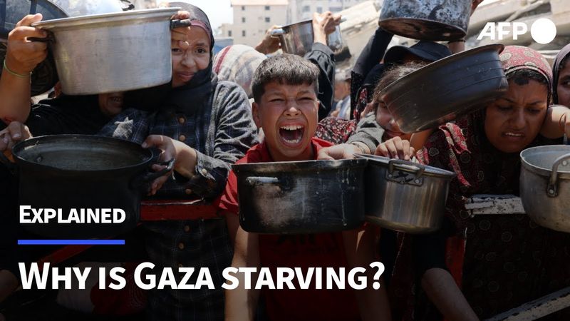 Gaza's hunger crisis explained | AFP