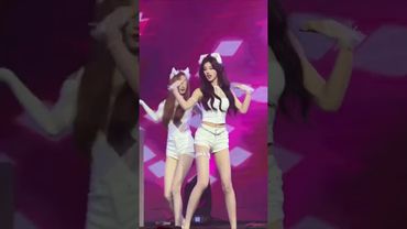 사뿐사뿐 (猫步轻悄) [AOA (에이오에이)] #dance cover