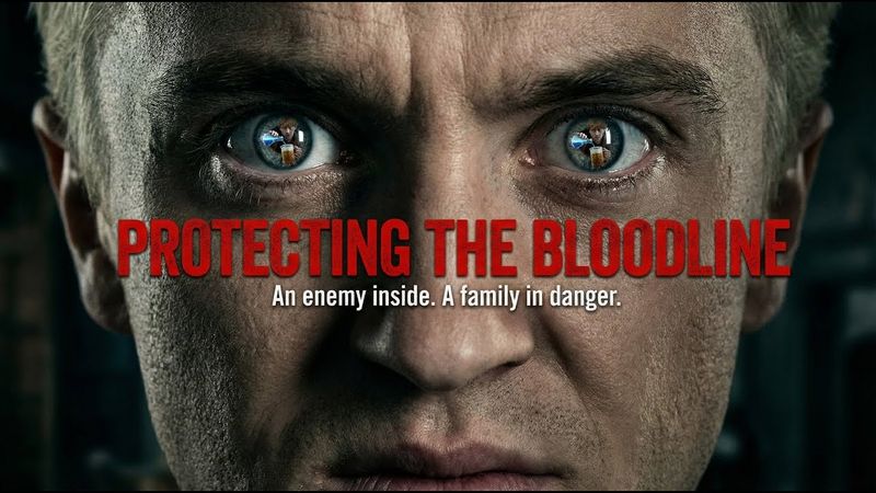 Hermione & Draco - THE LOVE TRIANGLE TURNS DEADLY #dramione #dracomalfoy #harrypotter #hogwarts