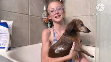 Doggy bath time