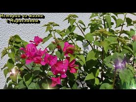 Обращайтесь к Богу так — и ваша жизнь начнёт меняться на 180 градусов. Наталья Бехтерева. Молитва