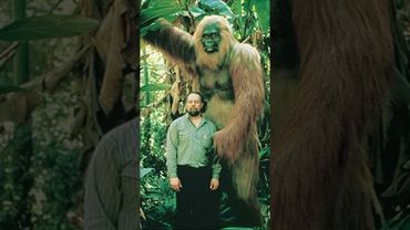 Cuando había Gigantes en la Tierra: Gigantopithecus Blacki el simio más grande de todos los tiempos