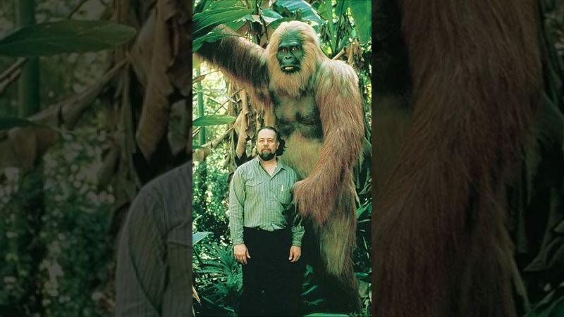 Cuando había Gigantes en la Tierra: Gigantopithecus Blacki el simio más grande de todos los tiempos