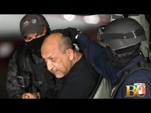 Mexico extradites 26 inmates wanted over cartel links to US