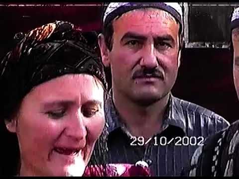 Туйи шахбоз