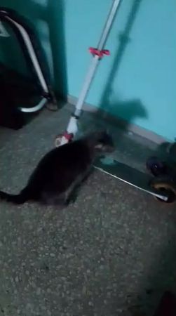 надеюсь видео не залетит 