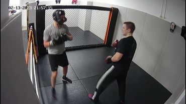 Лисица Мишанин2