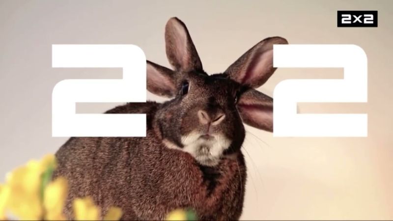 Рестарт эфира, заставка «Далее» и анонс (2х2, 14.02.2024)