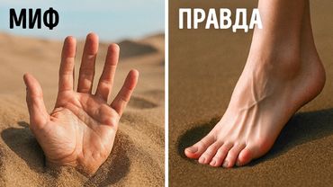 Мы разоблачили ложь, с которой вы выросли | Мифы и факты