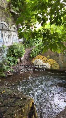 как я хочу лето боже #вайб #лето #швец #аленашвец #минск