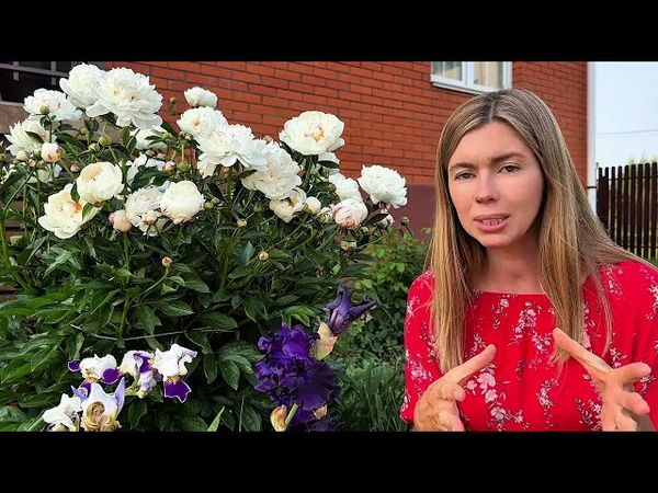 Защита растений от болезней и вредителей без химии. ЭТО РАБОТАЕТ