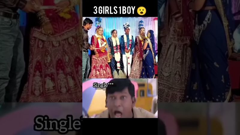 street dogs ❎pullingo dogs ✅😀#shorts #shortstamil #shortsfeed