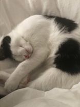 ##fyp #recommendations 