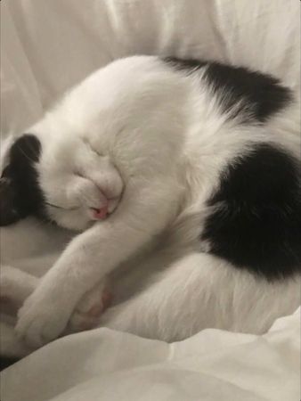 ##fyp #recommendations 