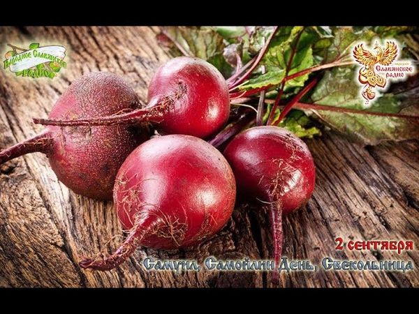 Братья Месяцы. 2 сентября - Самуил, Самойлин день, Свекольница
