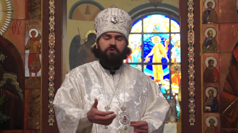 О злых виноградарях