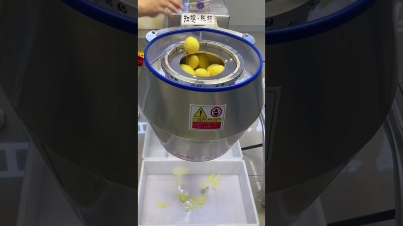 Vegetable shredding machine#shredder#vegetable cutter#shredded potato#french fried potatoes#peanut