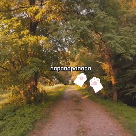 👅👅👅 #музыка #барбарики #лето #music 