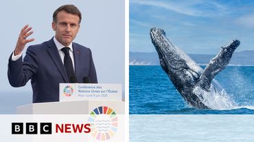 ‘Oceans are not for sale’, says French President Emmanuel Macron | BBC News