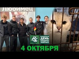 ДЕНЬ ЗАЩИТЫ ЖИВОТНЫХ | Продолжаем добрые дела!