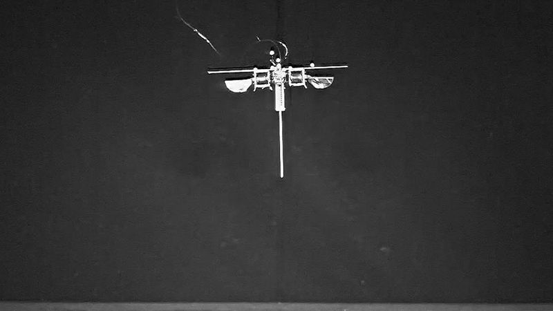 Прыгающего робота на одной ноге разработали в США