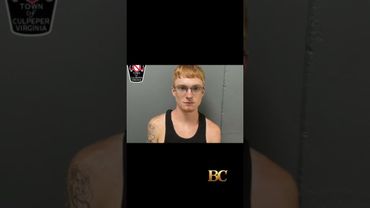 Man drove into crowd at Virginia “No Kings” protest, police say