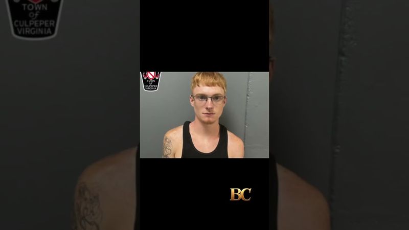 Man drove into crowd at Virginia “No Kings” protest, police say