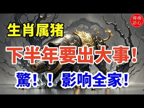 生肖属猪，今年下半年出大事了，驚！影响全家！！！#生肖 #財運 #運勢 #屬相 #風水 #命理