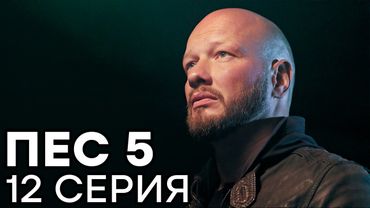 Сериал ПЕС - 5 сезон - 12 серия - ВСЕ СЕРИИ смотреть онлайн | СЕРИАЛЫ ICTV