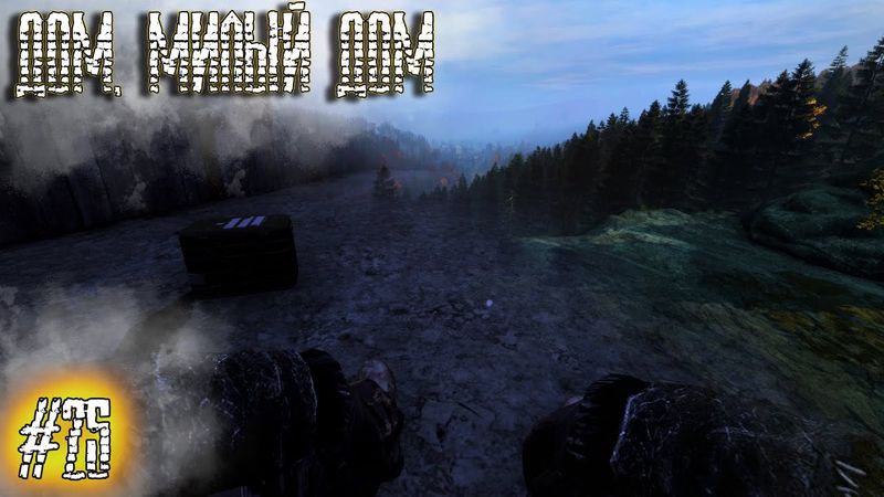 Dayz Неудержимые #25 Дом, милый дом