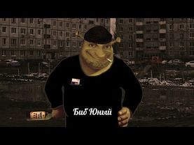 Семейство Биба