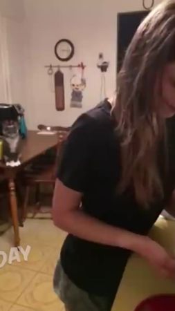 #веселыевидео #питомцы #животныеприколы #животныесмешные #собаки #кла...