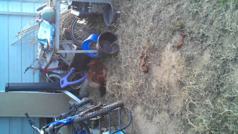 December 6, 2010 2:44 PM