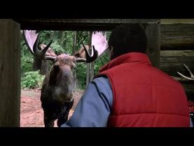 Огонь на поражение, 1988. Лося видел?