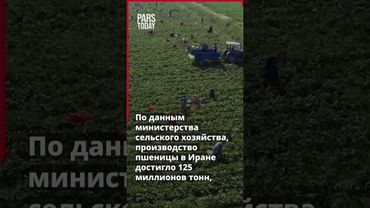 Аграрный рост Ирана: экспорт в 80 стран