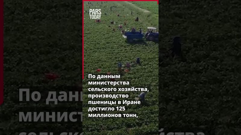 Аграрный рост Ирана: экспорт в 80 стран