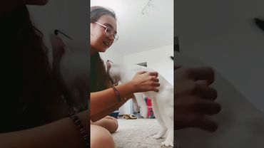 ось таке у мене життя  з моїм котиком Муркою 🤣🙄🤯