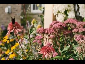 Земляне. Земля в иллюминаторе (Трава у дома)