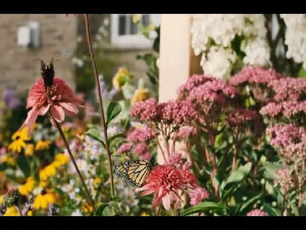 Земляне. Земля в иллюминаторе (Трава у дома)