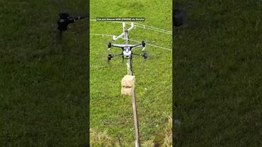 NSW Floods: Drones Airdrop Hay to Isolated Farms