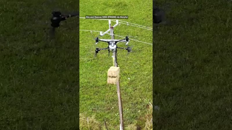 NSW Floods: Drones Airdrop Hay to Isolated Farms