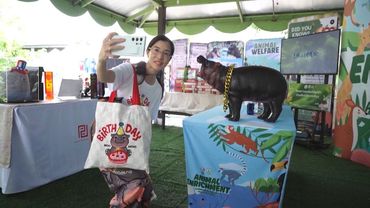 Тайскому бегемотику-звезде Му Денг исполнился год