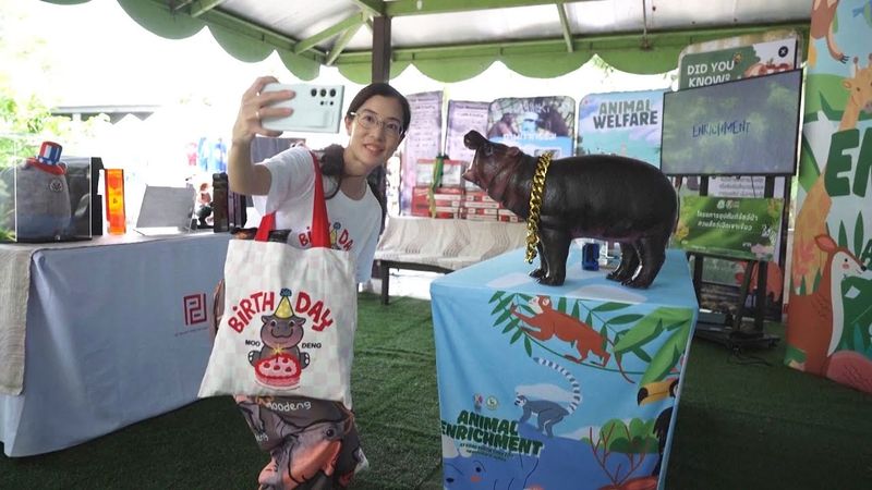 Тайскому бегемотику-звезде Му Денг исполнился год