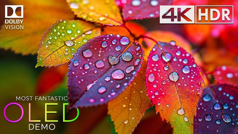 Fantastic Colors 💥 Dolby Vision HDR 4K 120 FPS | 8K Video ULTRA HD (Relaxing Music)