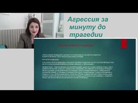 ВЕБИНАР Агрессия , за минуту до трагедии