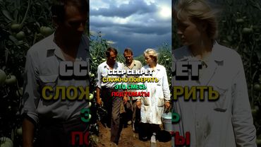 СССР секрет почему раньше не было фитофтора? #сад #огород #дача