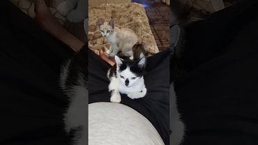 25 сентября 2025 г.