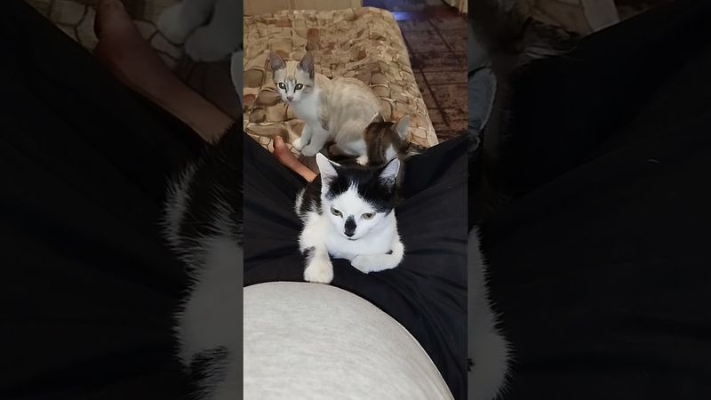 25 сентября 2025 г.